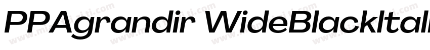 PPAgrandir WideBlackltalic 黑斜体字体转换